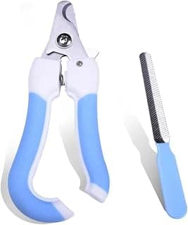 Dog Training Clicker with Wrist Strap